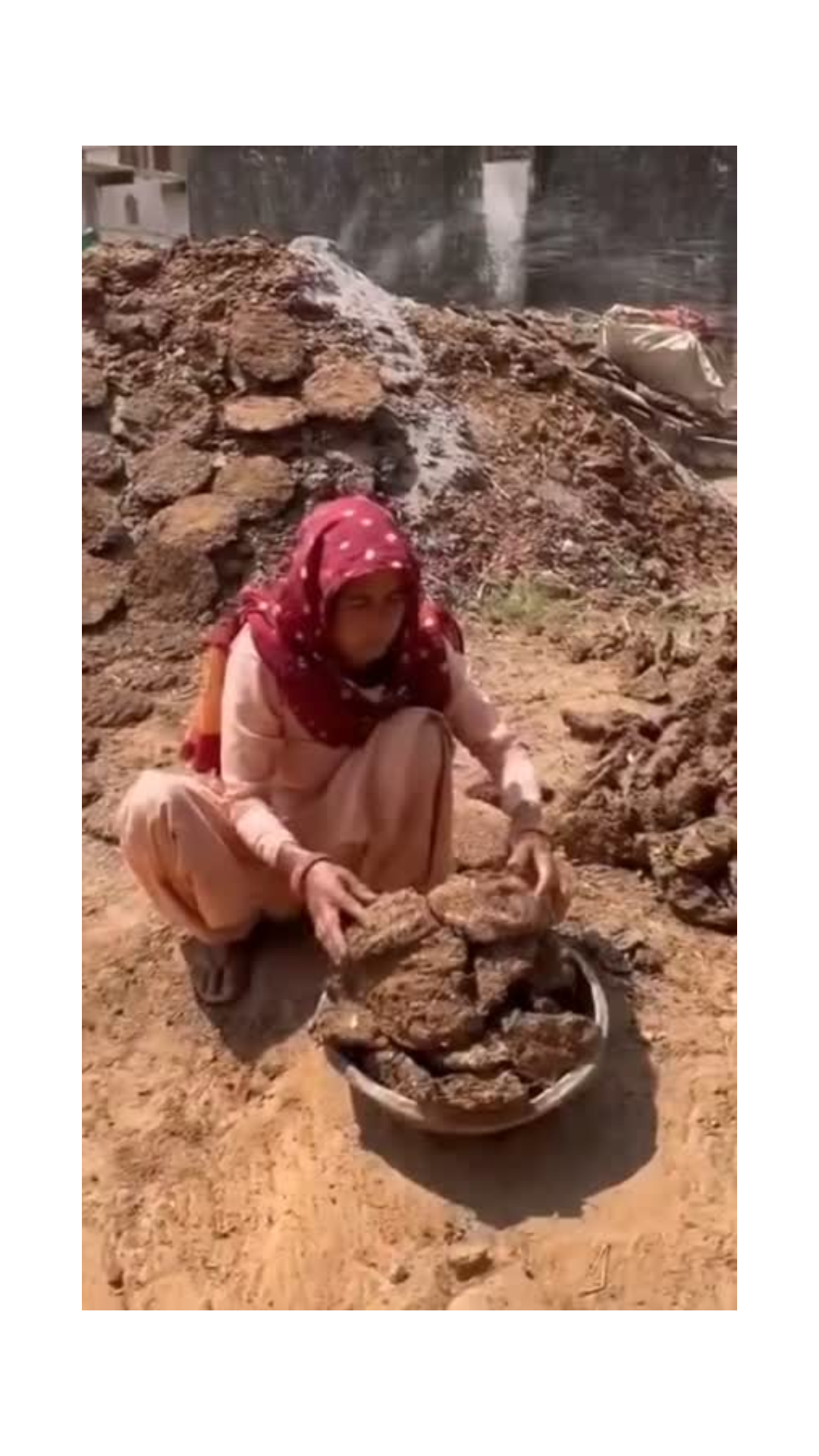 Indian Cow Ghee